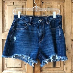 NWT American Eagle 26 / 2 Tom Girl Denim Shorts